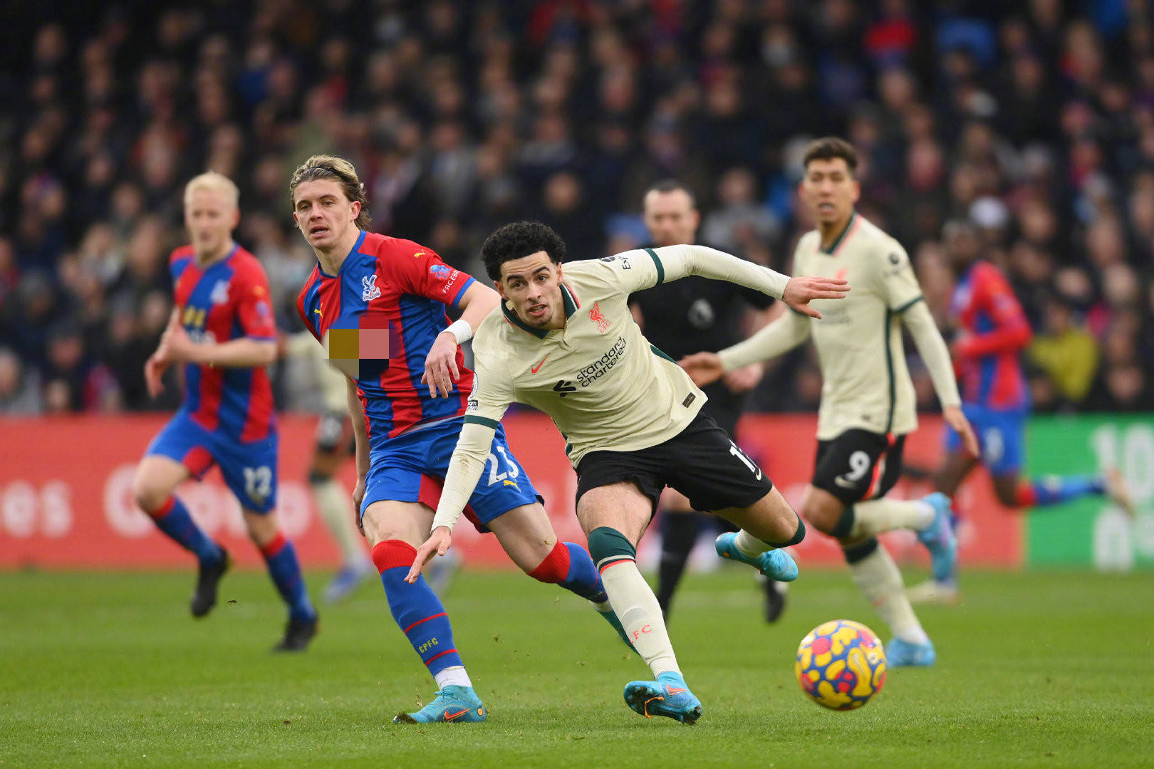 更是一场情 更是一场情