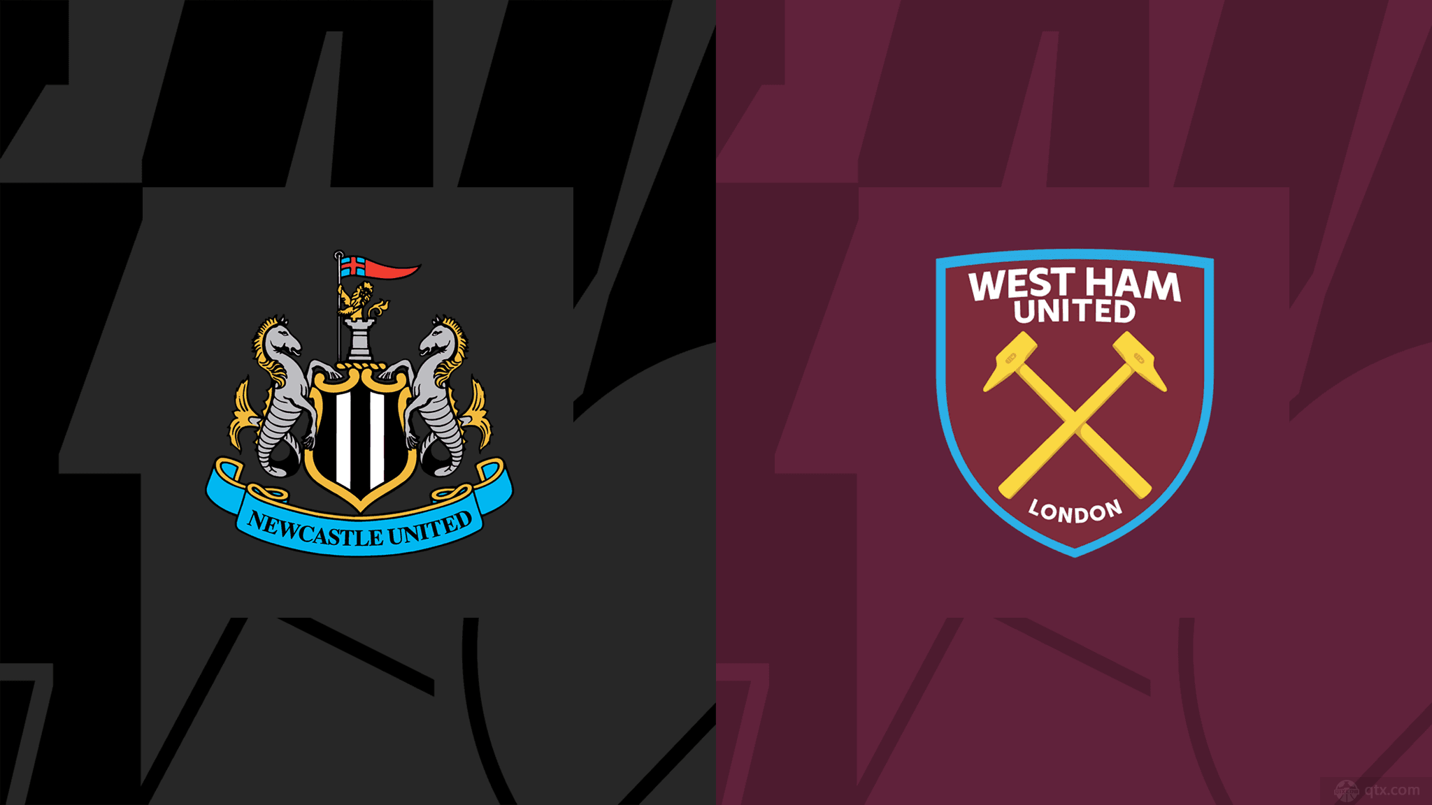 球迷的关注 球迷的关注